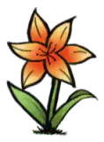 花卉种植