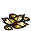 带壳种子
