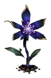 星璨花