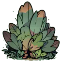 草莓丛 草莓丛