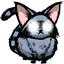 浣猫崽