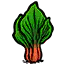 大黄