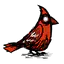 红雀