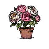 花丛 皮肤 3