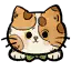 豹猫头