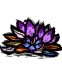极地花瓣