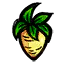 防风草