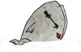 白鲸
