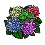 花丛 皮肤 2