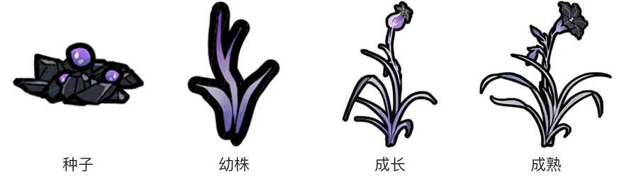 蛊蓉草生长阶段 蛊蓉草生长阶段