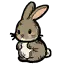 小灰兔