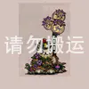种子箱