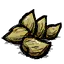熟大蒜