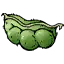 大豆