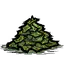 熟海带叶