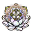 转元丹·土