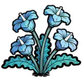 月矩花