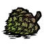 多枝树种