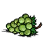 青提