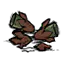 黏黏种子