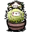 刺猬小仙 刺猬小仙