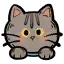 灰猫头