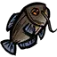 鲶鱼