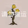 杨桃树