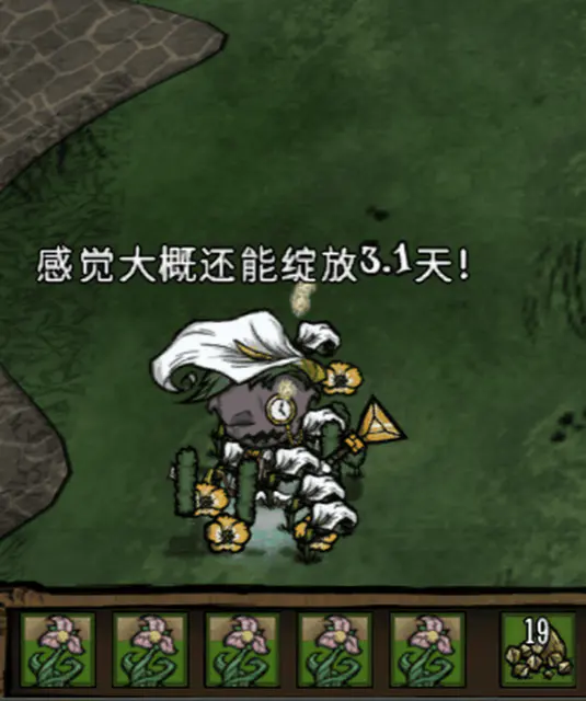 完全绽放时进食补充开花值