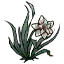 魔力花