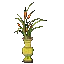 古风盆栽