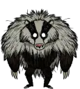 熊獾宝宝 熊獾宝宝