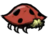 疯狂甲虫
