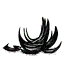 胡须