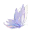 昙花蝴蝶 昙花蝴蝶