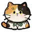 三花猫