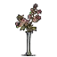 古海棠花瓶