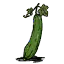 丝瓜 丝瓜