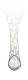 蛛茧