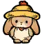雨帽兔