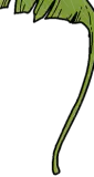 芭蕉