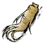 人参