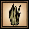 草