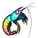 虾苗 虾苗
