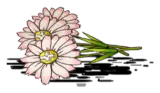 攻略花束
