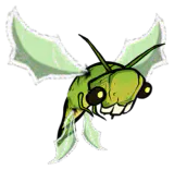 蝗虫