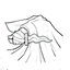 暗杀