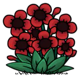 山茶花丛