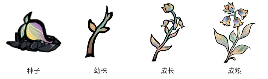 七彩铃兰生长阶段 七彩铃兰生长阶段