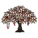 樱花树